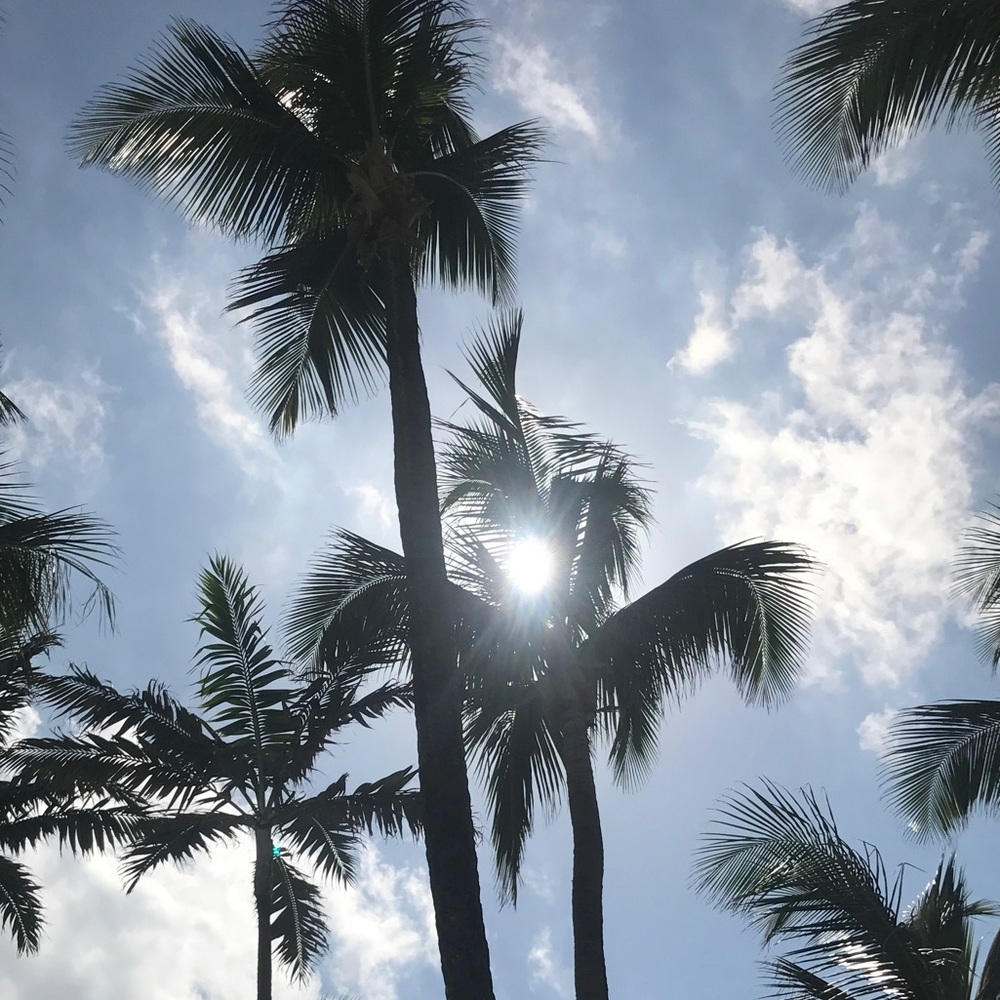 Meet your Posher, Shannon